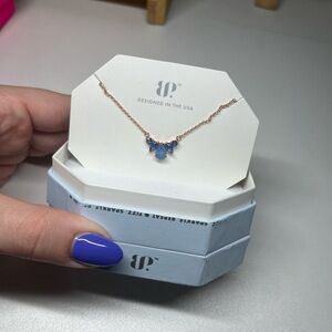 RBP6240 My Path Is Clear Necklace